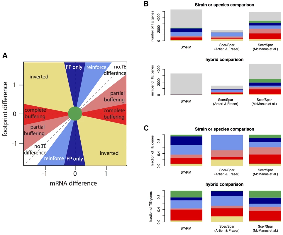 Relationship between mRNA differences and footprint differences within and between species.
