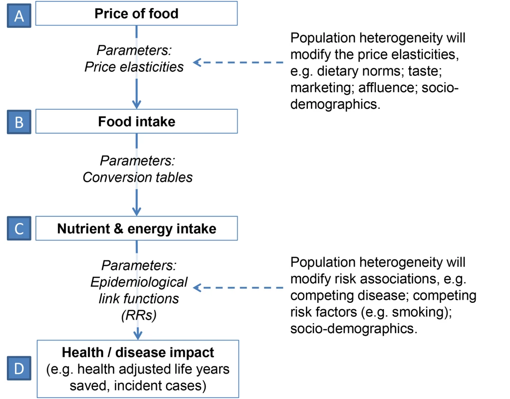 Causal diagram for simulation model illustrating how food price leads to health or disease impact.
