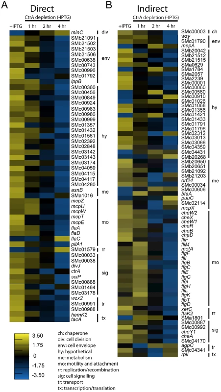Expression profiles of direct and indirect targets of CtrA upon CtrA depletion.