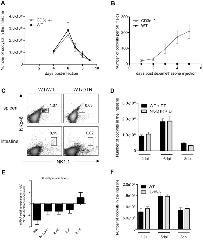 NKp46+NK1.1+ Natural killer cells and conventional T cells are not essential for the control of the acute phase of <i>C. parvum</i> infection.