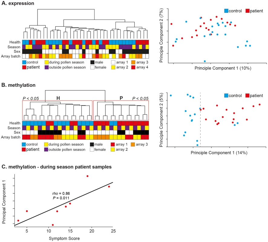 <i>In vivo</i> CD4<sup>+</sup> T-cell methylation separates patients from controls during and outside the pollen season.