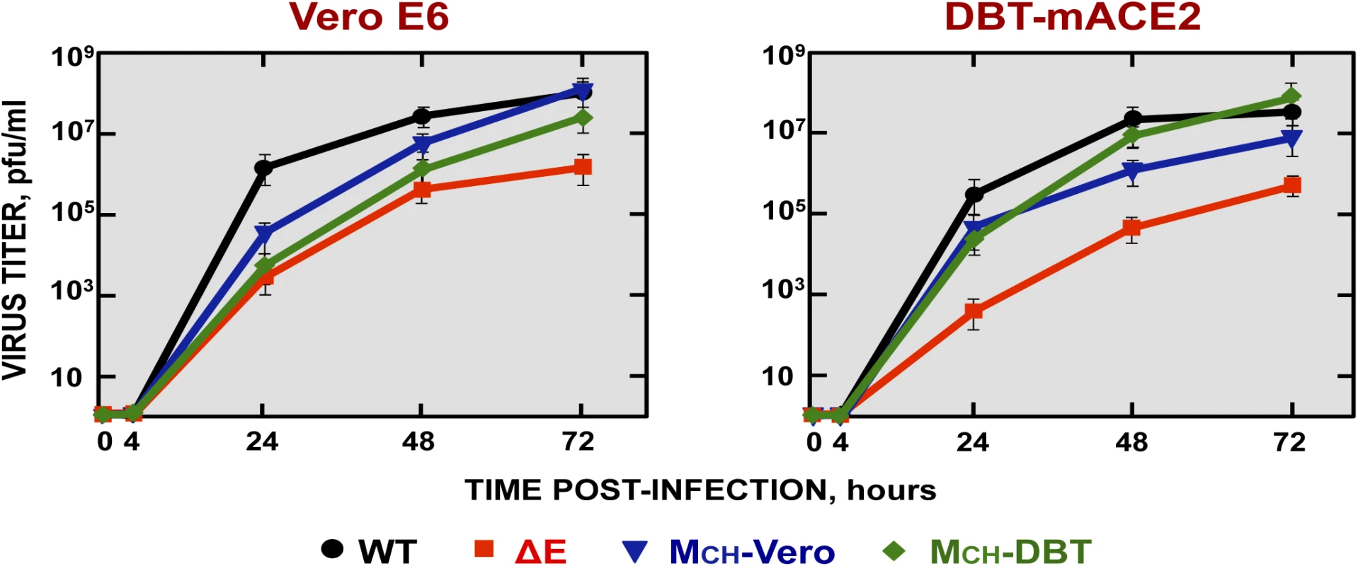 Growth kinetics of SARS-CoV-∆E viruses containing chimeric proteins.