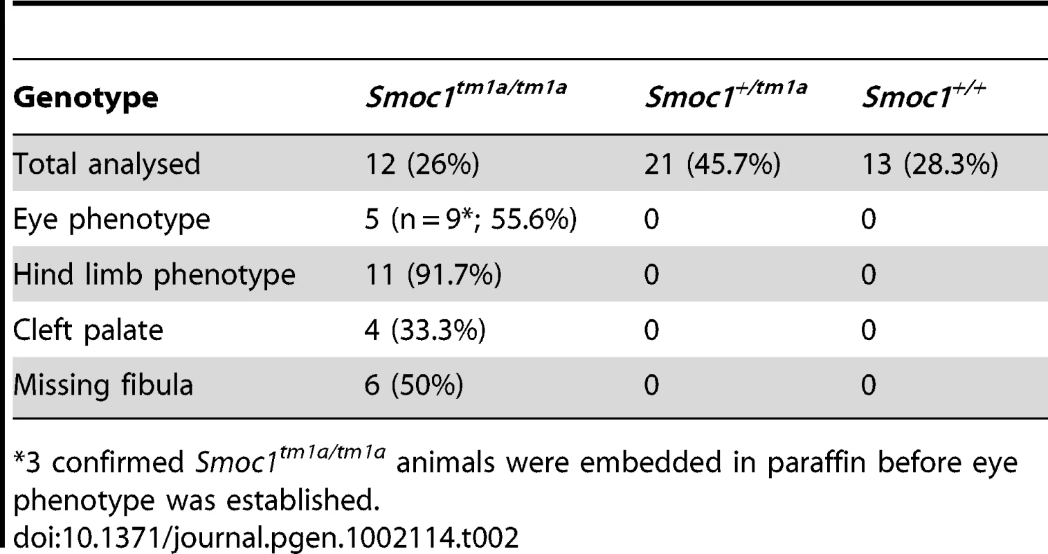 Phenotypes identified in <i>Smoc1-</i>targeted mice.