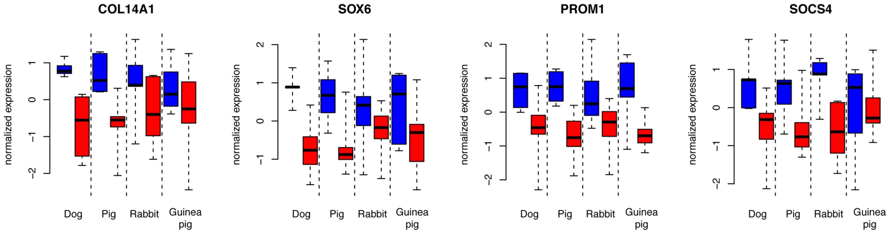 Expression levels of four genes with common expression in domesticated dogs, pigs, rabbits, and guinea pigs.