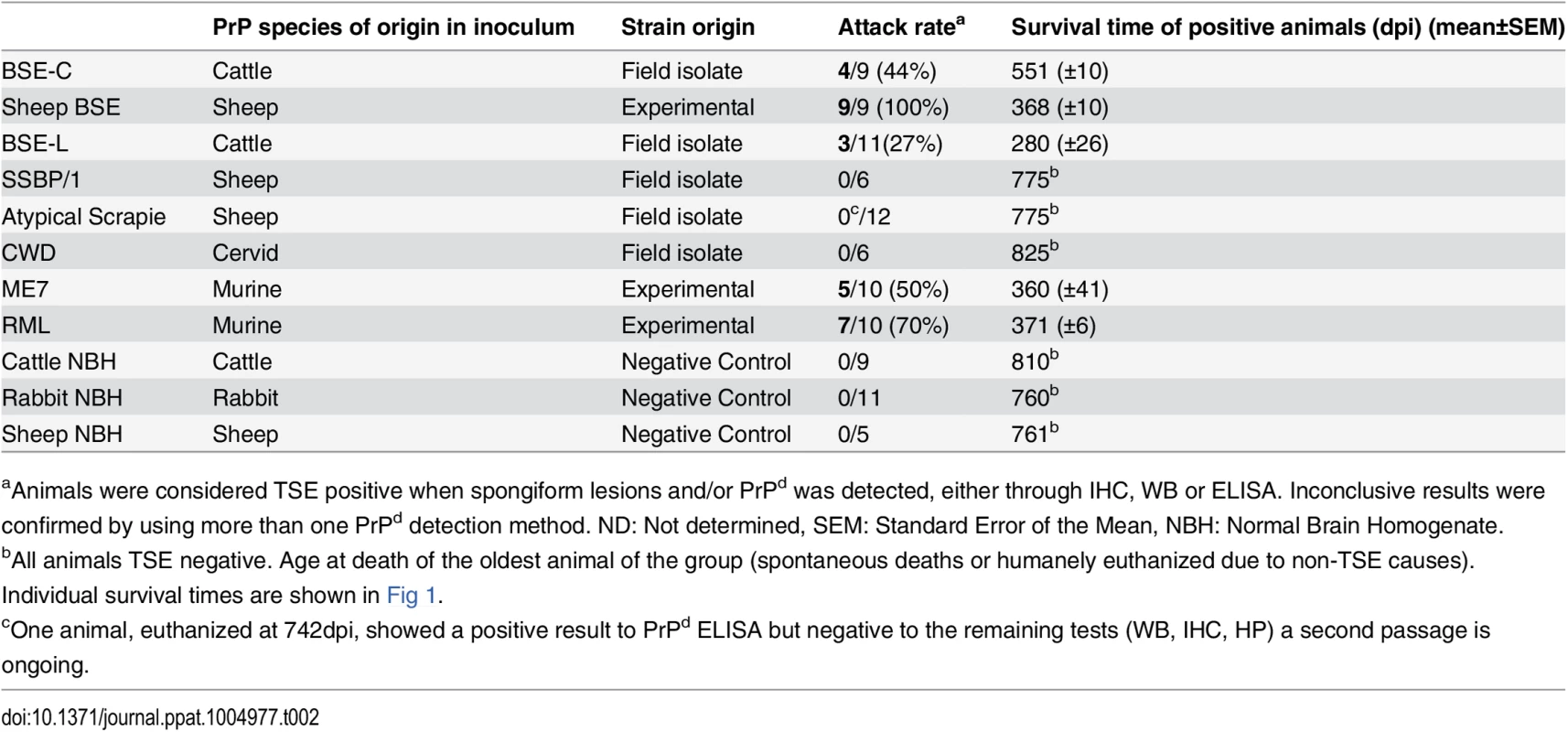 Attack rates and survival times (±SEM) of the inoculated <i>TgRab</i> mice.