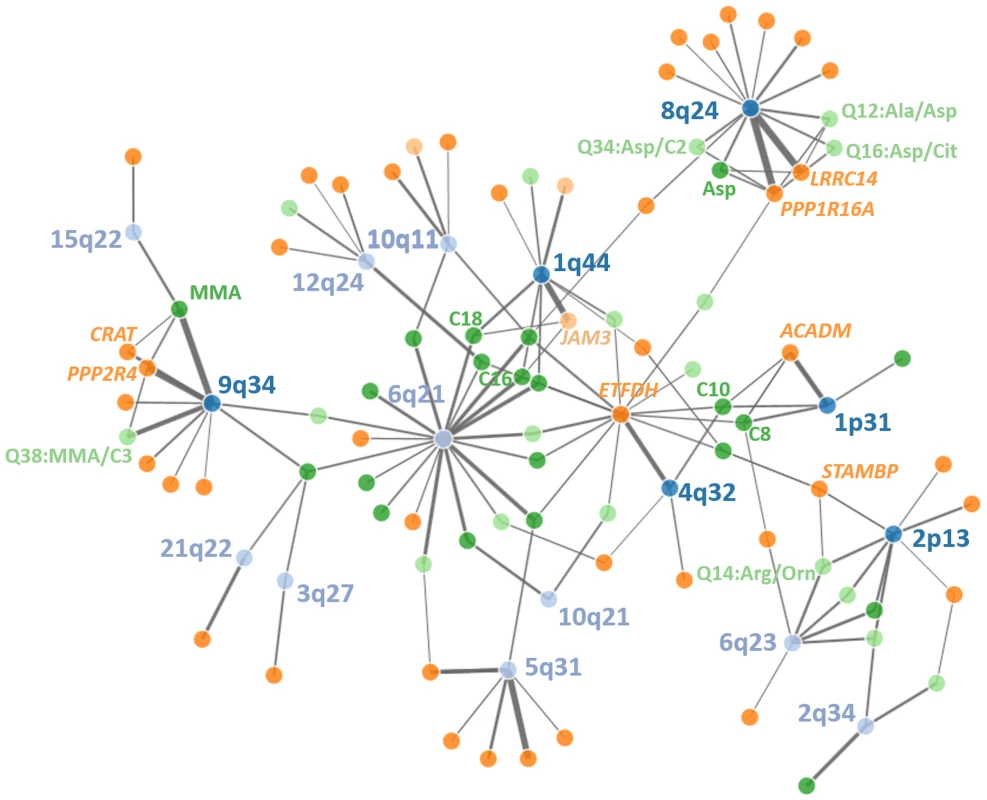 Network of discovered loci, eQTLs and metabolites.