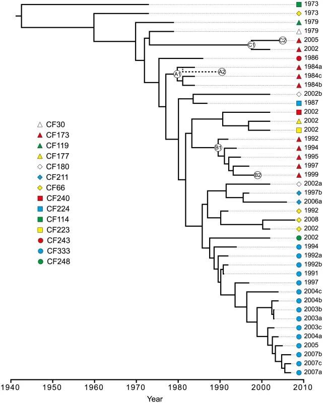 Bayesian phylogenetic reconstruction and divergence date estimates of the <i>P. aeruginosa</i> DK2 clones.
