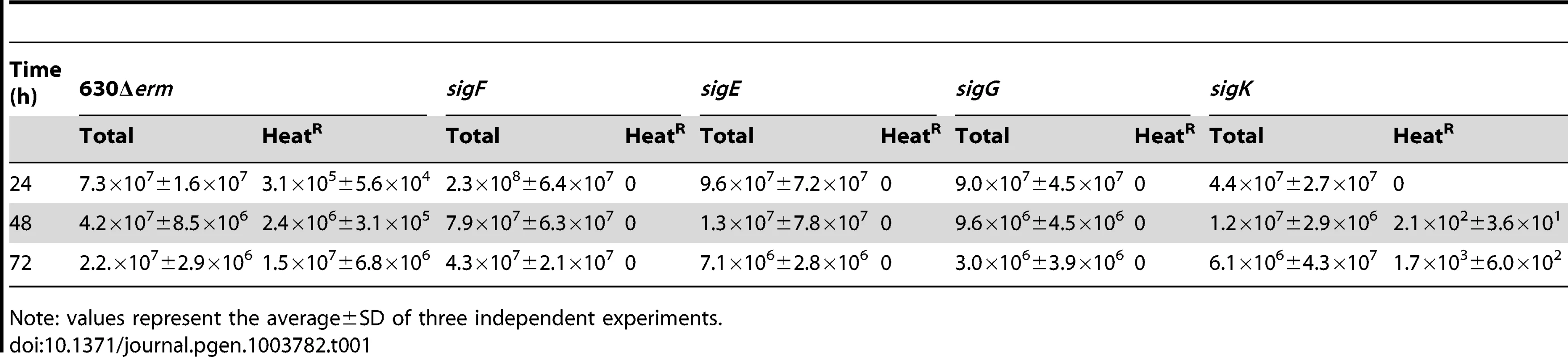 Total and heat resistant (Heat<sup>R</sup>) cell counts (CFU/ml) for the wild type strain (630Δ<i>erm</i>) and congenic <i>sigF</i>, <i>sigE</i>, <i>sigG</i> and <i>sigK</i> mutants in SM.
