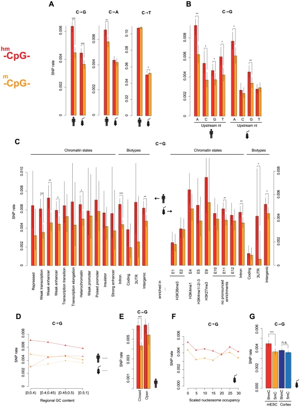 Elevated C to G rates at 5hmC sites across different sequence and functional contexts.