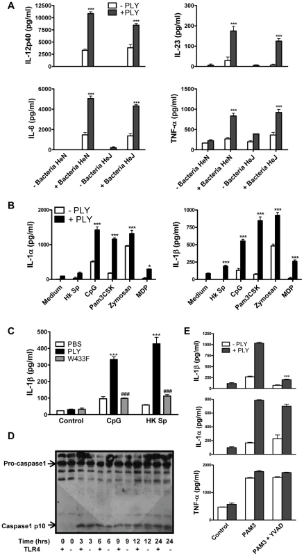 PLY synergizes with TLR agonists to enhance pro-inflammatory cytokine secretion by DC.