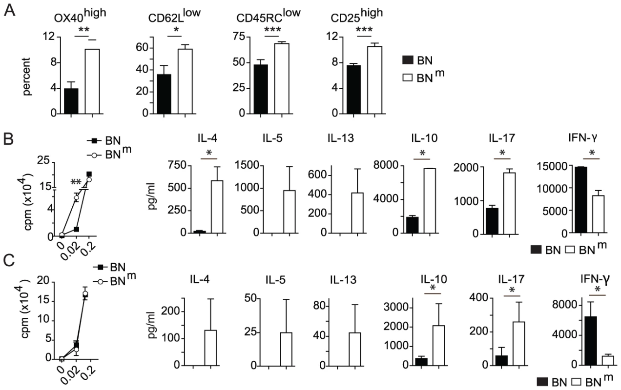 BN<sup>m</sup> rats exhibit spontaneous T cell activation and skewed cytokine production.