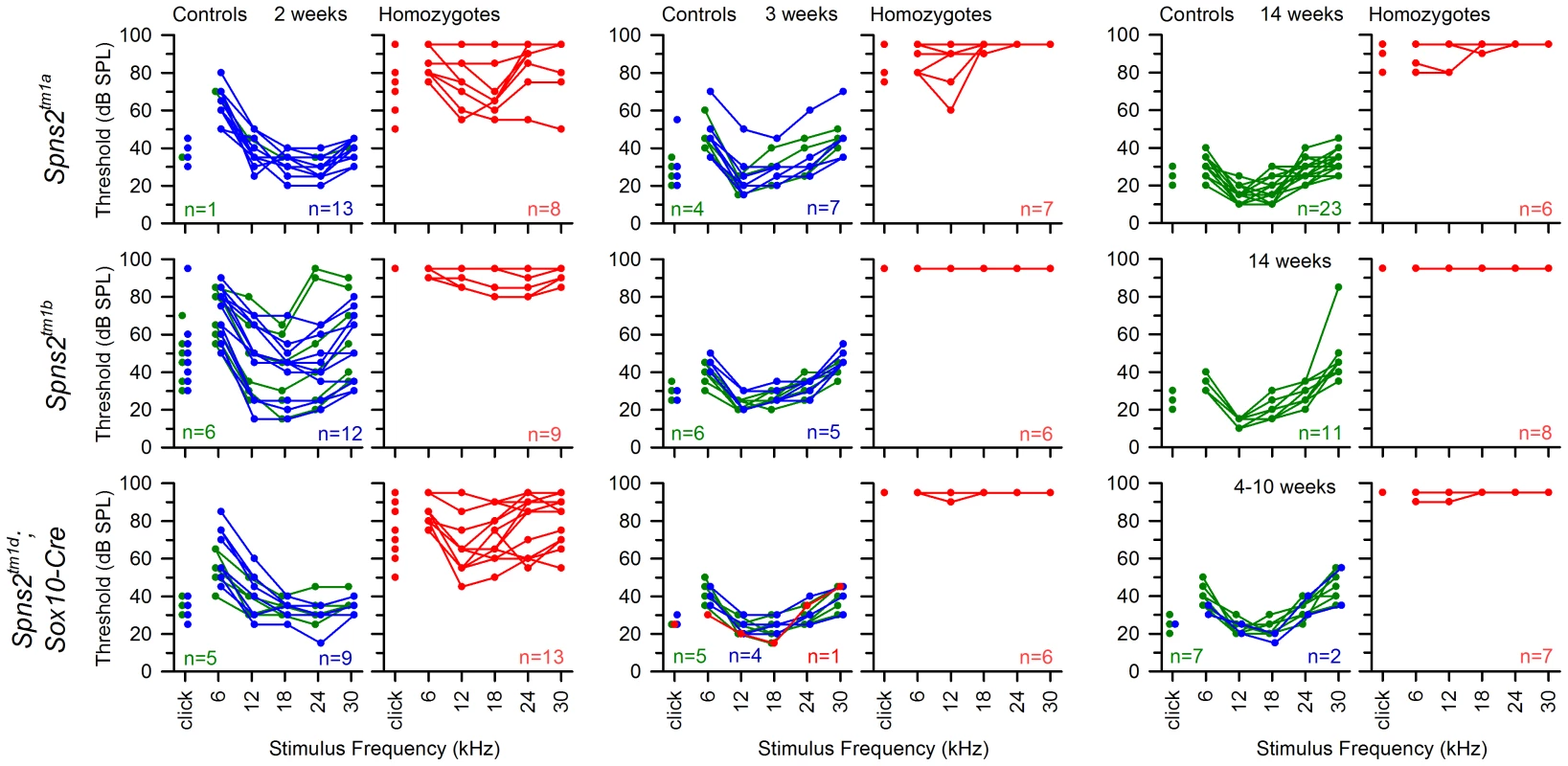 The hearing loss of <i>Spns2<sup>tm1a/tm1a</sup></i>, <i>Spns2<sup>tm1b/tm1b</sup></i> and <i>Spns2<sup>tm1d/tm1d</sup></i>; <i>Sox10-Cre</i> mice showed a similar pattern of progression.