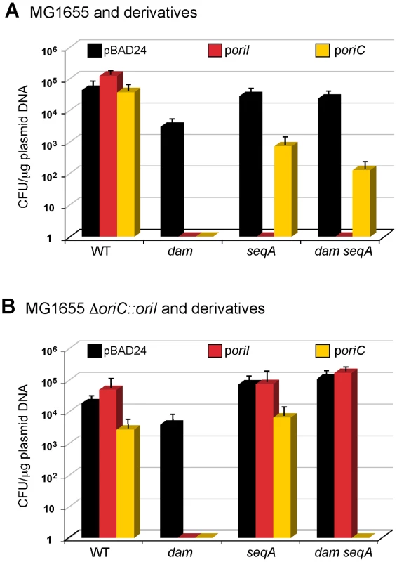 Transformation efficiency of methylated <i>oriI</i> and <i>oriC</i> plasmids in <i>E. coli</i>.
