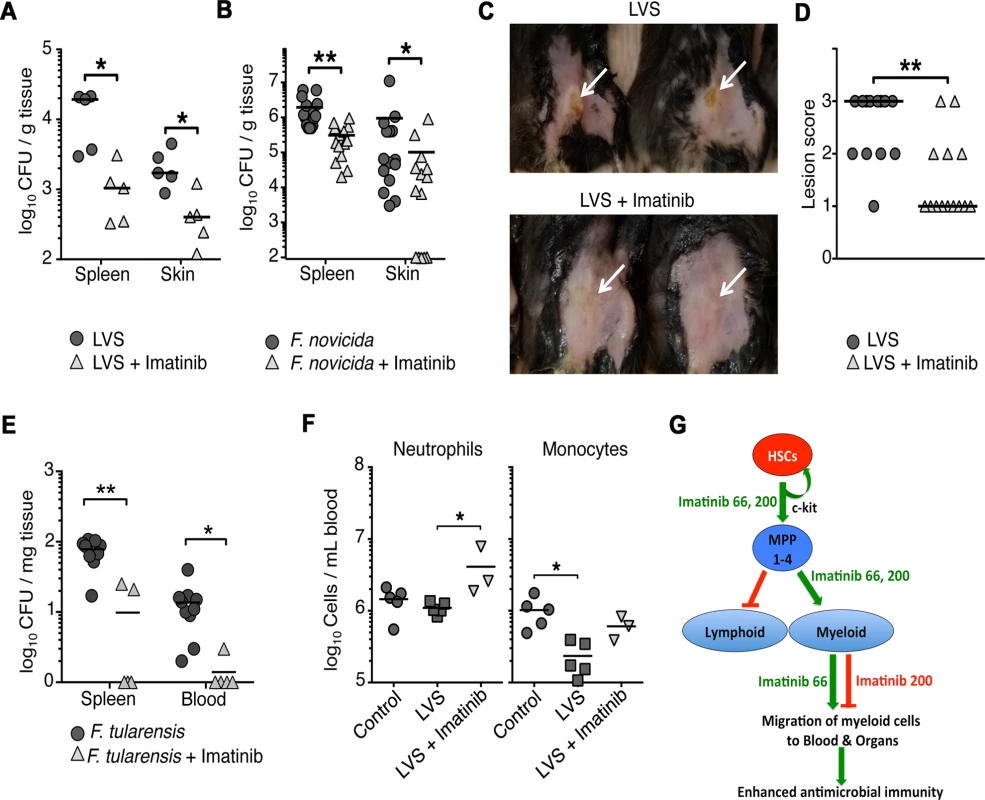 Imatinib decreases bacterial load of pathogenic <i>Francisella spp</i>. <i>in vivo</i>.