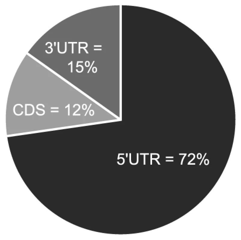 Majority of miR-US25-1 target sites reside within 5′UTRs.