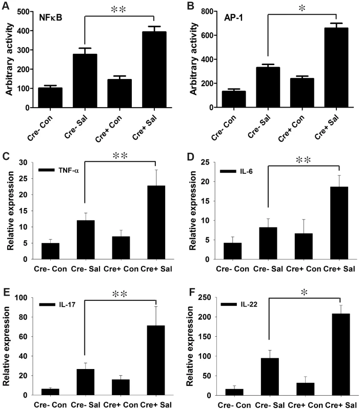 PPARγ depletion from intestinal epithelium augments the immune response to <i>S.</i> Typhimurium infection.