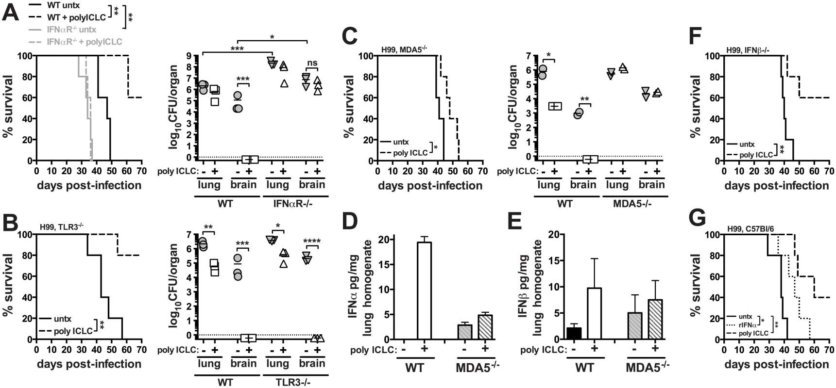 Treatment of mice with pICLC protects against <i>C</i>. <i>neoformans</i> infection through the MDA5-dependent induction of type I interferon.