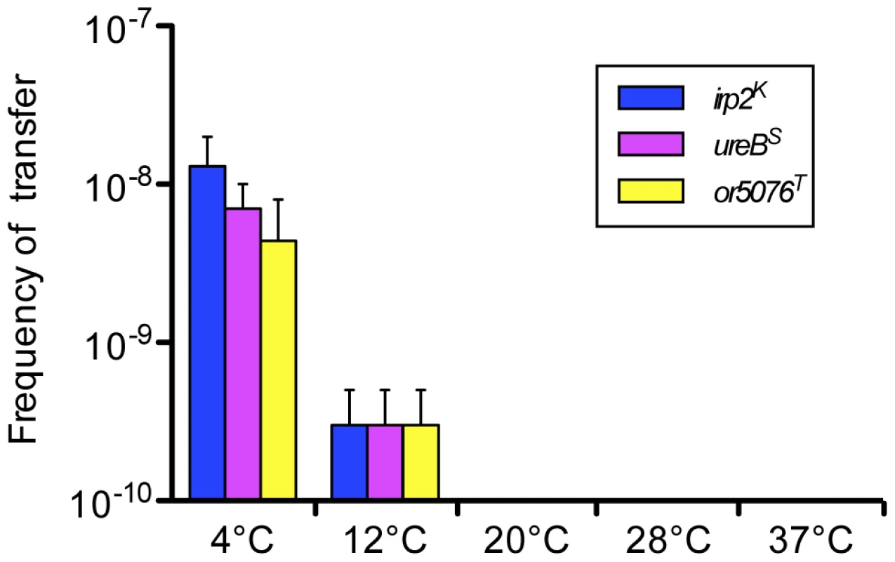 Transfer frequencies at various temperatures of three distantly located chromosomal loci.