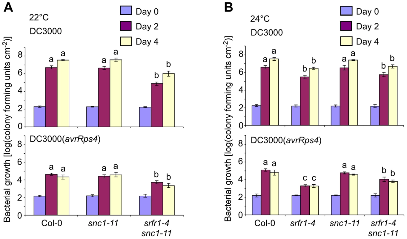 Phenotypically normal <i>srfr1-4 snc1-11</i> double mutants show enhanced basal defense and AvrRps4-triggered immunity.