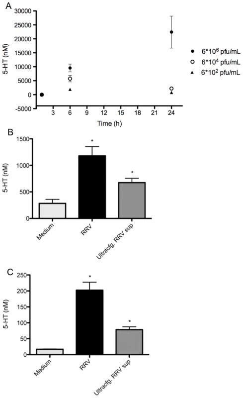 Rhesus rotavirus stimulates 5-HT release from EC tumor cells in a dose-dependent manner.
