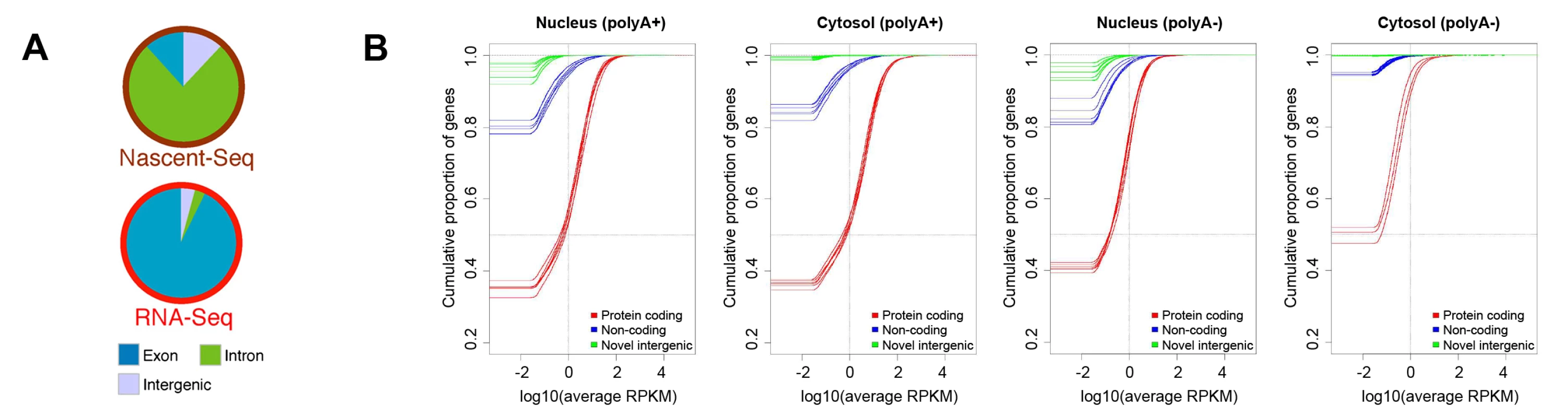 Levels of protein-coding and intergenic RNAs in mammalian cells.