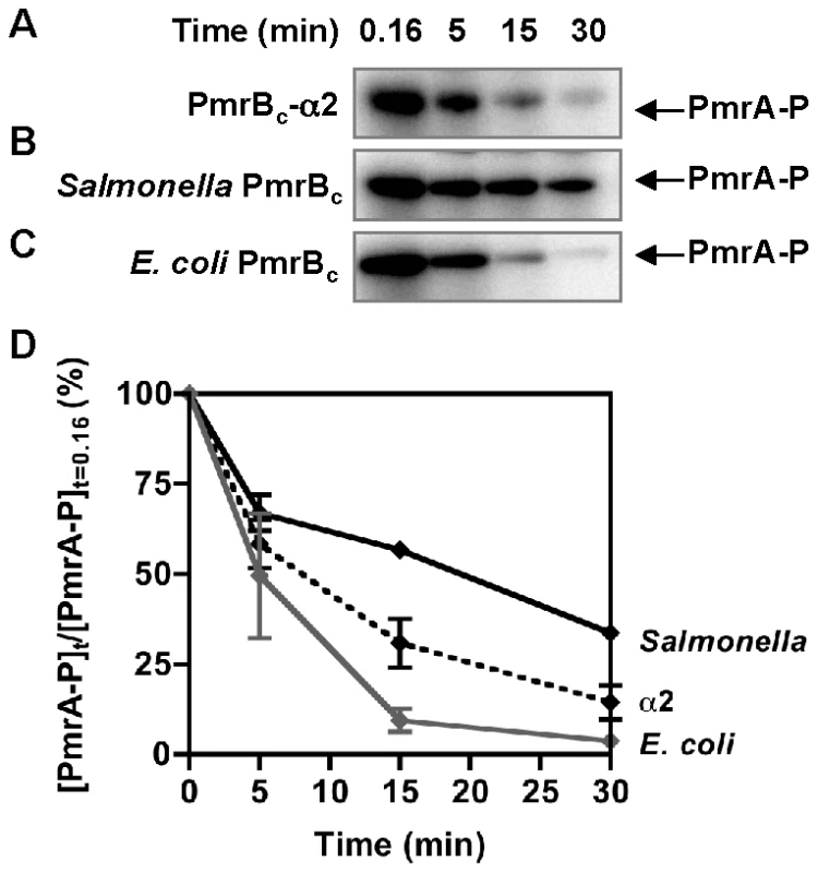 The PmrB<sub>c</sub>-α2 chimera exhibits higher phosphatase activity than the <i>Salmonella</i> PmrB<sub>c</sub> protein.