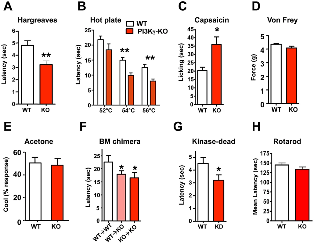 PI3Kγ signaling controls thermal and capsaicin nociception <i>in vivo</i>.