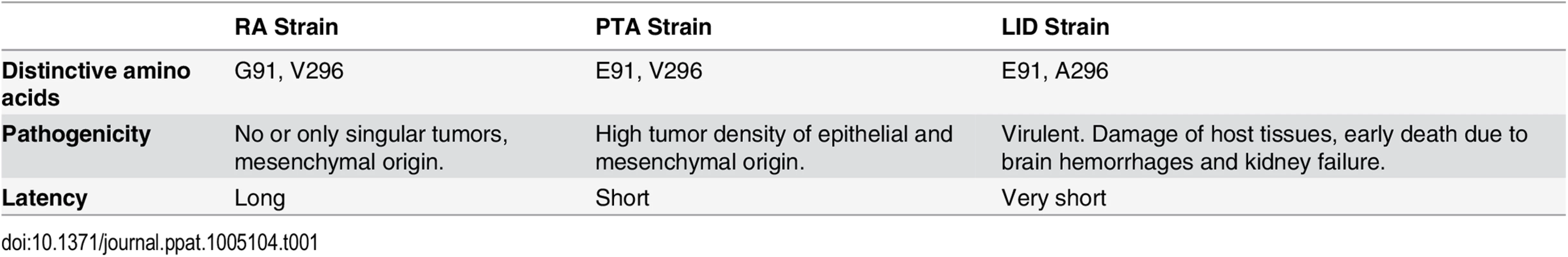Description of the investigated MuPyV strains.