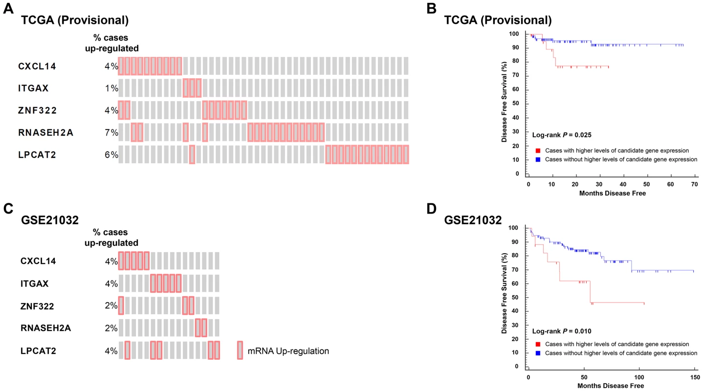 Higher levels of five QTL candidate genes are associated with poor DFS in TCGA (Provisional) and GSE21032 prostate cancer gene expression datasets.
