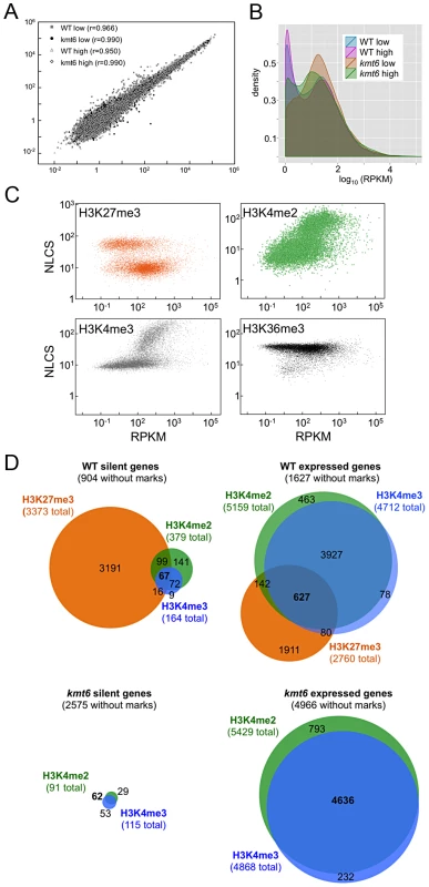 Global transcriptional analysis and correlation with histone modifications.