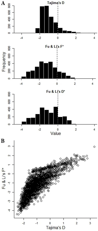 Tajima's and Fu &amp; Li's summary indices of nucleotide site frequency spectrum for each of 2,853 <i>P. falciparum</i> genes with 3 or more SNPs in the Gambian population.
