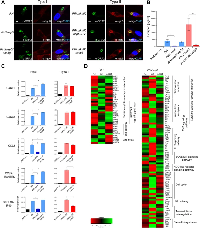 ASP5 modulates host innate immune responses.