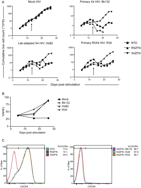 Treatment of human CD4+ T cells with X4-ZFNs confers protection to HIV-1 challenge <i>in vitro</i>.
