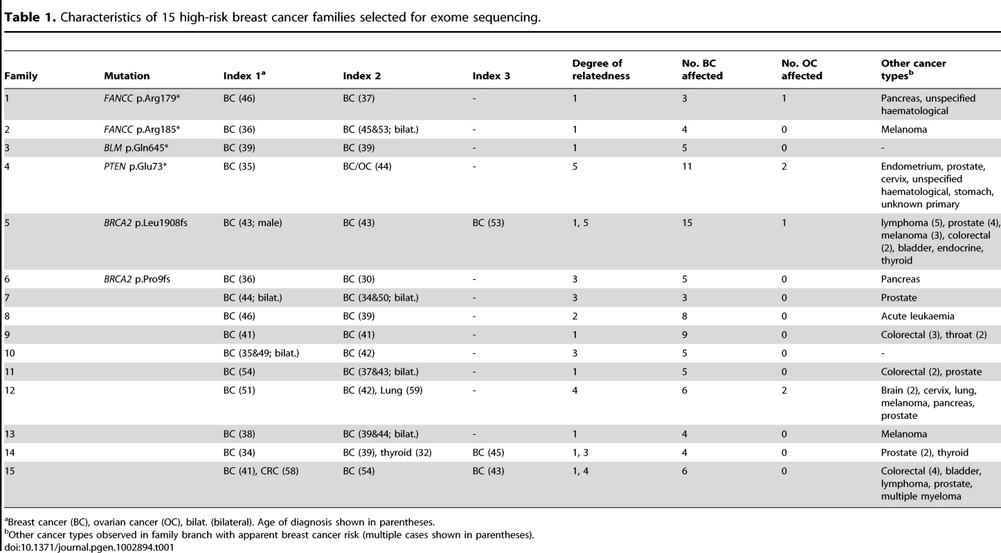 Characteristics of 15 high-risk breast cancer families selected for exome sequencing.