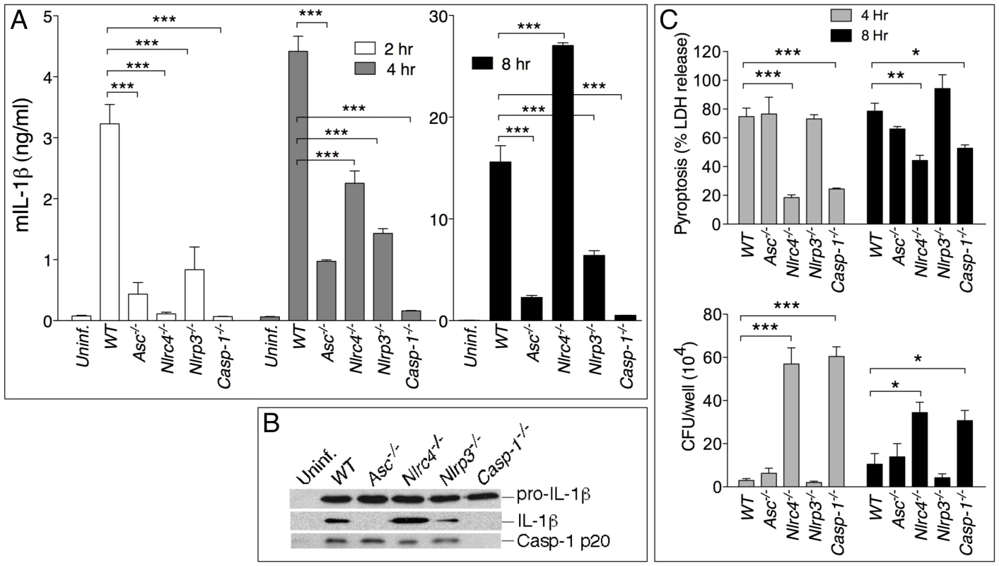 NLRP3 and NLRC4 differentially regulate production of IL-1β and pyroptosis.