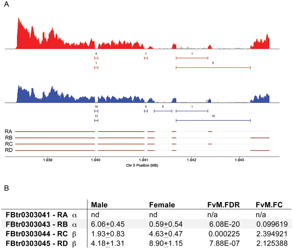 <i>moody</i> transcript isoforms are expressed differently in males and females.