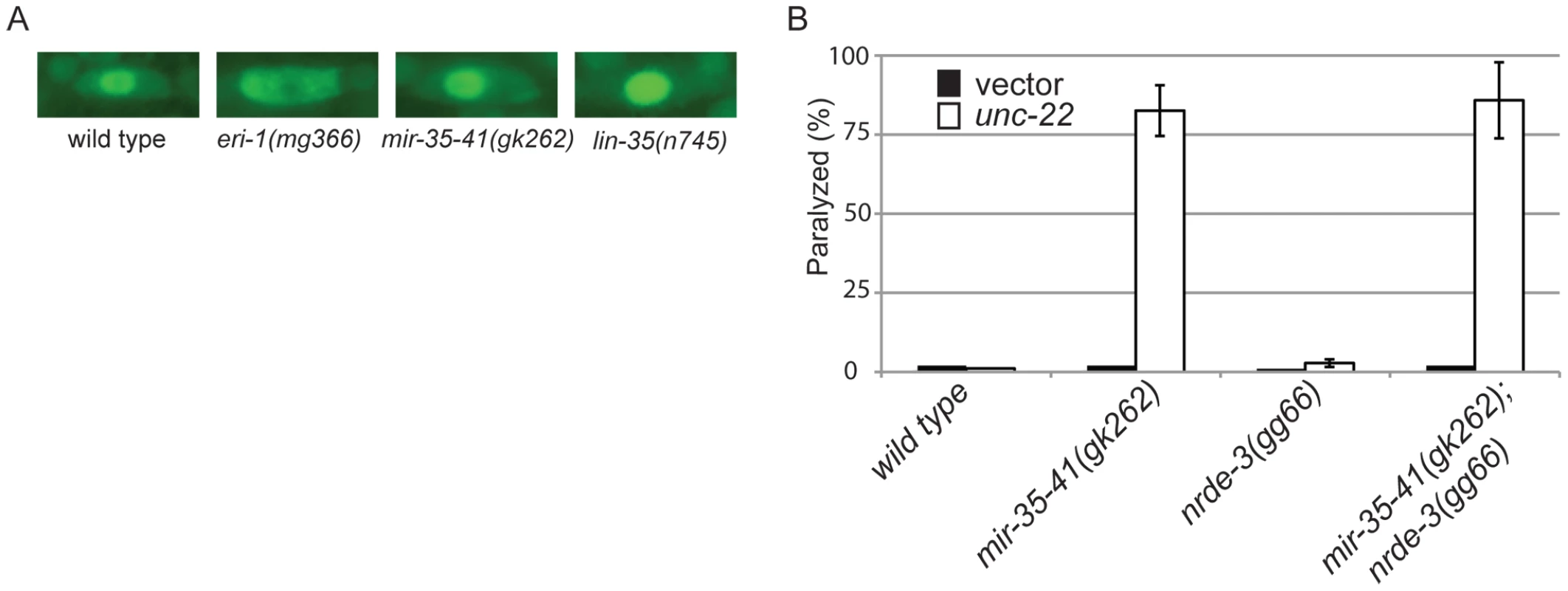 The RNAi hypersensitivity of <i>mir-35-41</i> mutants is independent of <i>nrde-3</i> activity.