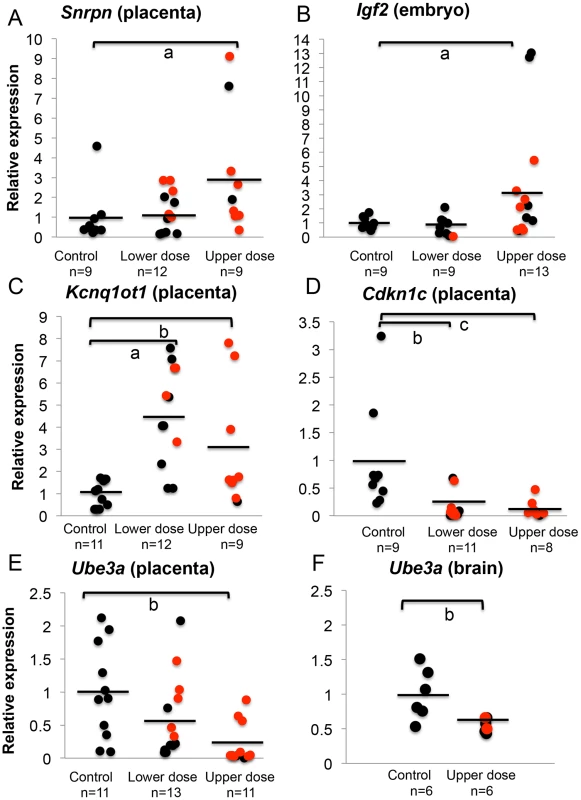 BPA exposure altered total mRNA expression of imprinted genes relative to reference genes.