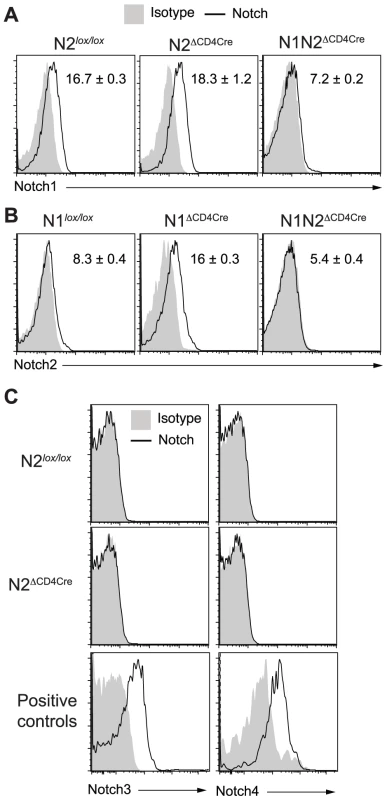 Increased N2 expression can compensate the absence of N1 on <i>L. major</i> stimulated CD4<sup>+</sup> T cells.