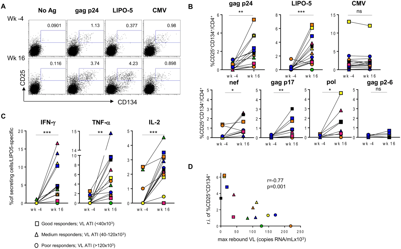 HIV-specific responses are significantly upregulated after the vaccination with LIPO-5-DC vaccine.