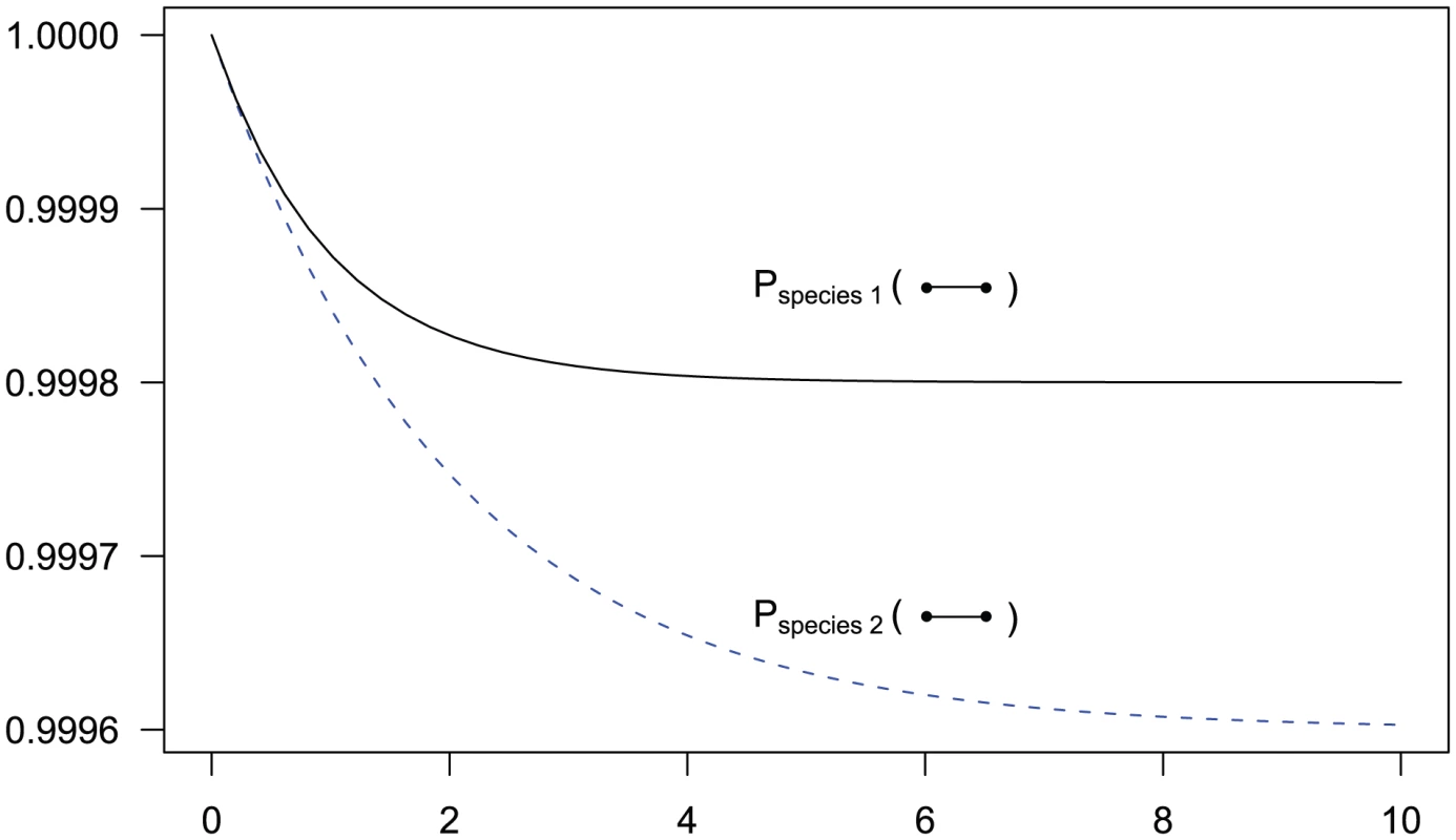 State probabilities for the single sequence two-nucleotide coalescent process as a function of time.