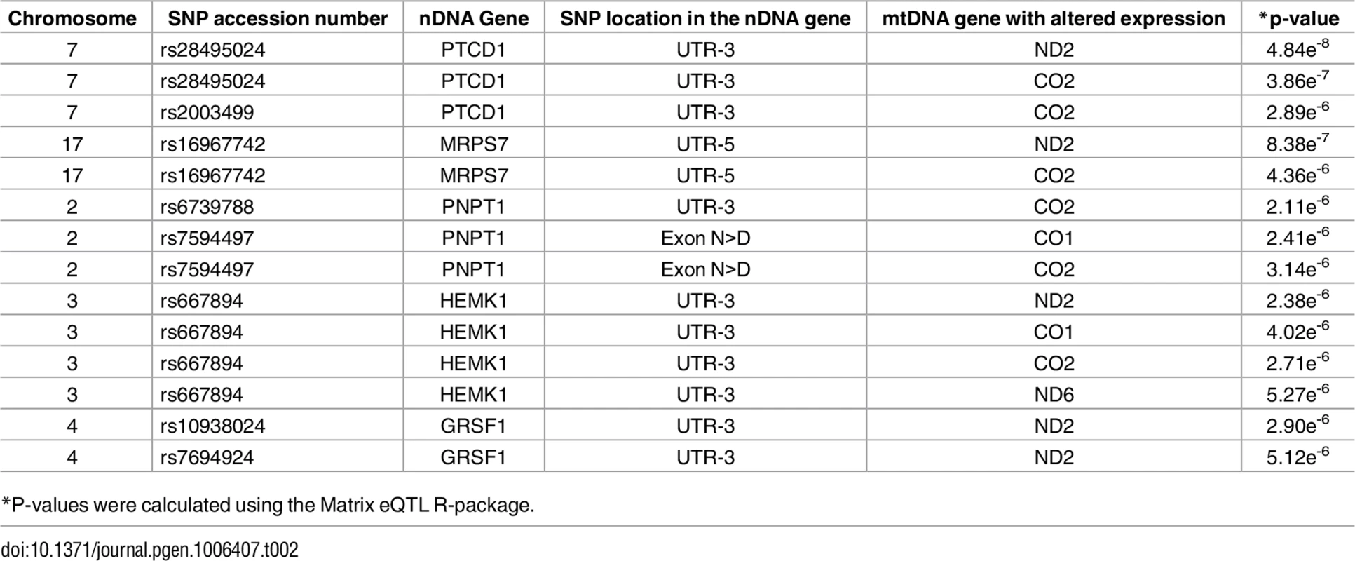 nDNA SNPs that associate with the African-Caucasian differences in mtDNA expression from the long RNA dataset.
