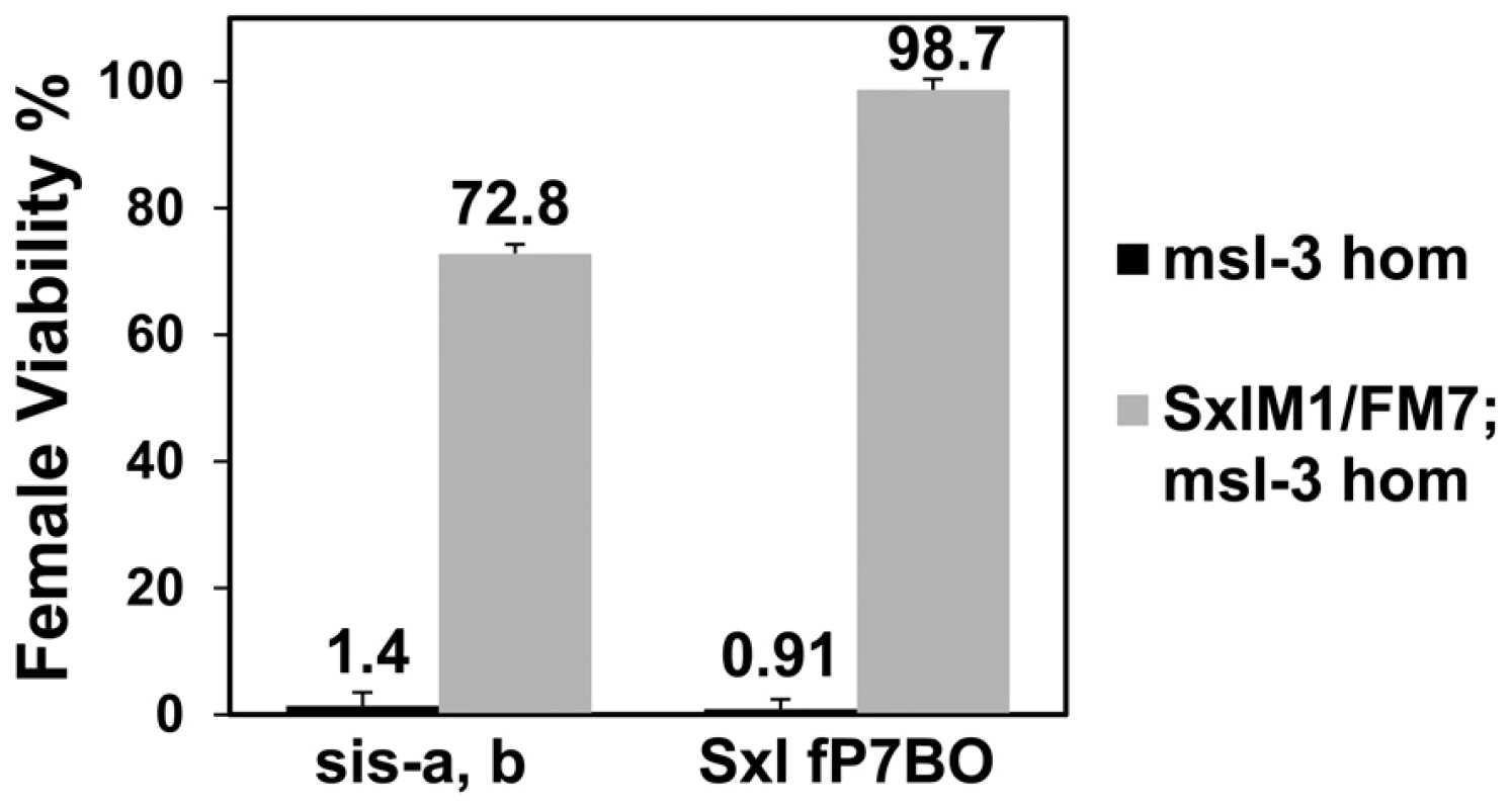 A constitutive <i>Sxl</i> allele rescues the female lethality from loss of <i>msl-3</i>. <i>y, cm, Sxl<sup>M1</sup></i>/FM7; <i>msl-3<sup>1</sup></i> females mated to <i>w, sis-b<sup>sc3-1</sup>, sis-a<sup>1</sup>, m</i>/Y or <i>y, w,</i> cm, <i>Sxl<sup>fP7B0</sup></i>/Y males (test class total n = 555, 851, 1065, 681 respectively).