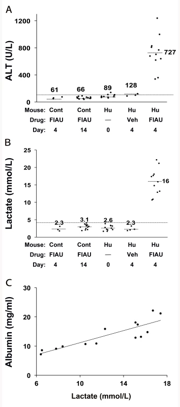 FIAU-induced liver toxicity develops in TK-NOG mice with humanized livers.