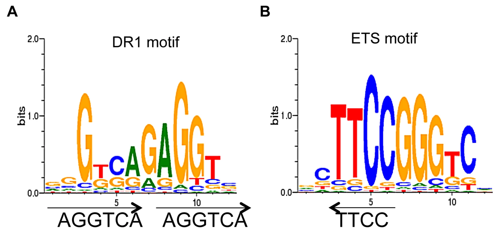 <i>De novo</i> motif analysis of TR4 peaks located at the proximal promoter.