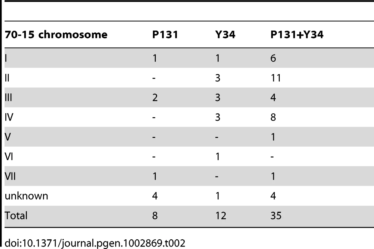 Gaps in the genome of isolate 70-15 filled with sequences from the field isolates P131 and/or Y34.