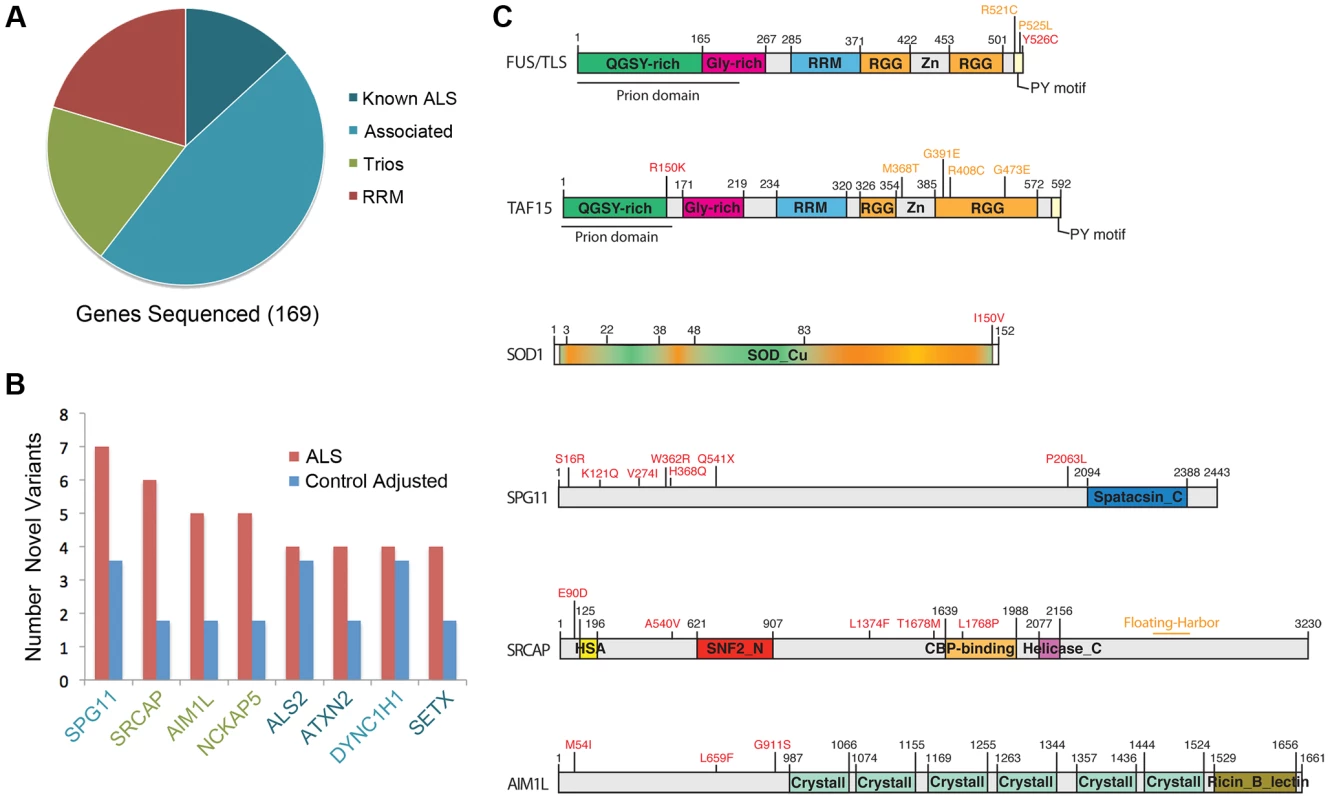 Sequenced genes and hits category repartitions.