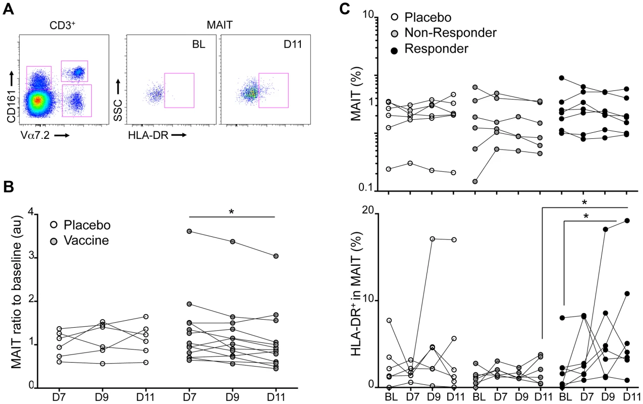Experimental in vivo <i>Shigella flexneri</i>-infection results in MAIT cells activation.