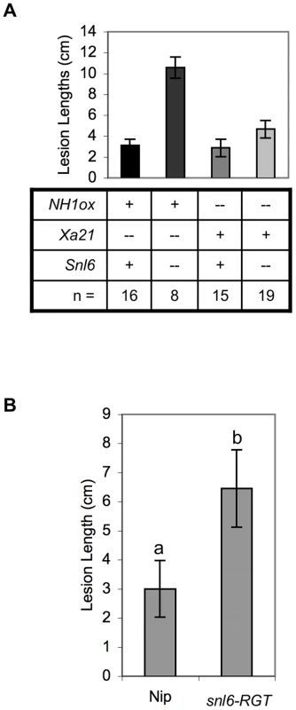 <i>Snl6</i> contributes to resistance in the absence of NH1ox.