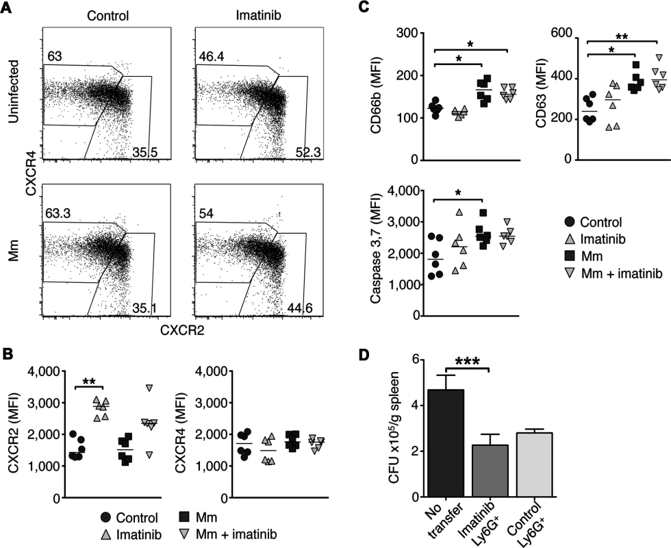 Effects of Imatinib on CXCR2 expression, activation, and apoptosis in neutrophils.
